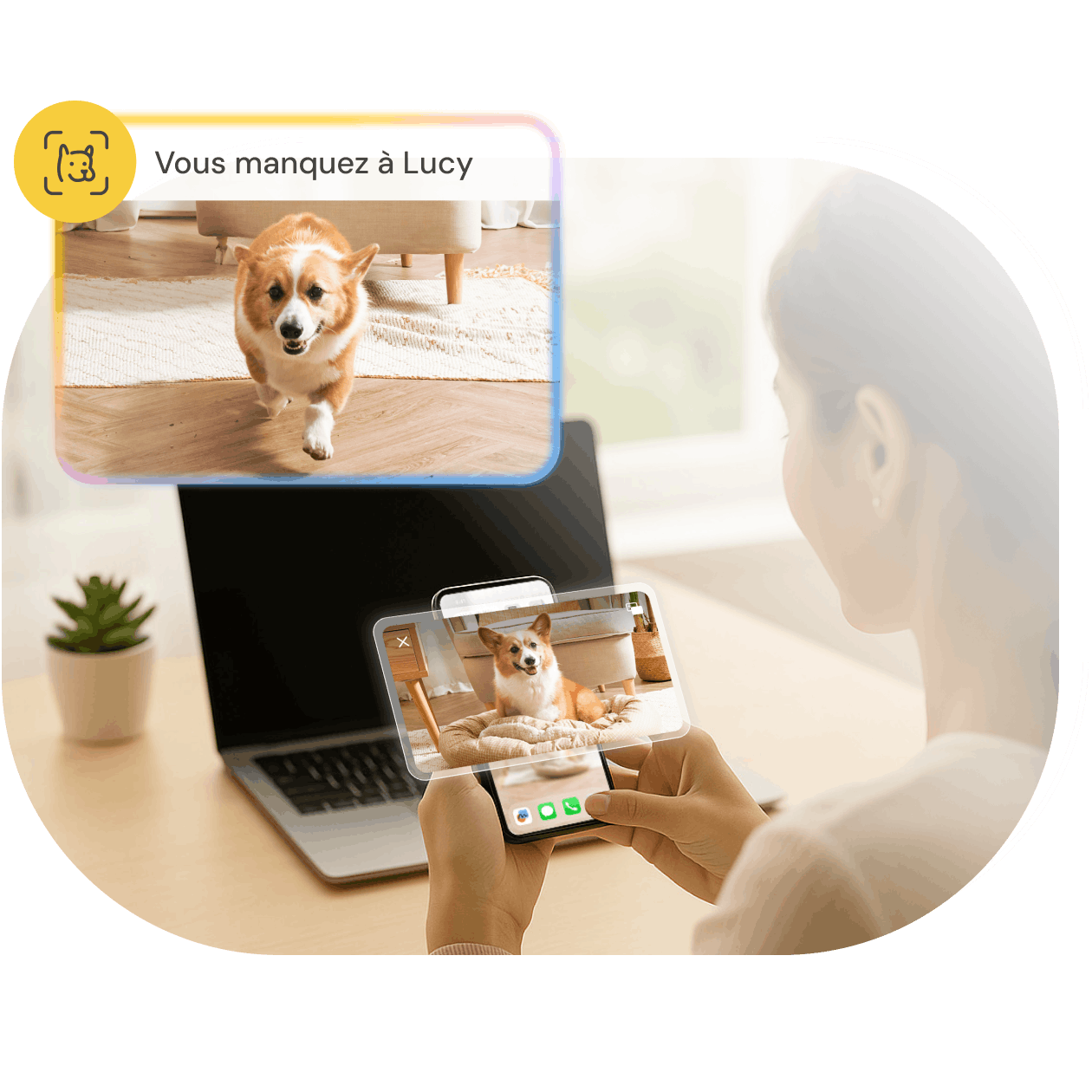 Femme regarde téléphone, reçoit alerte Furbo Nanny : Lucy la cherche, avec clip vidéo