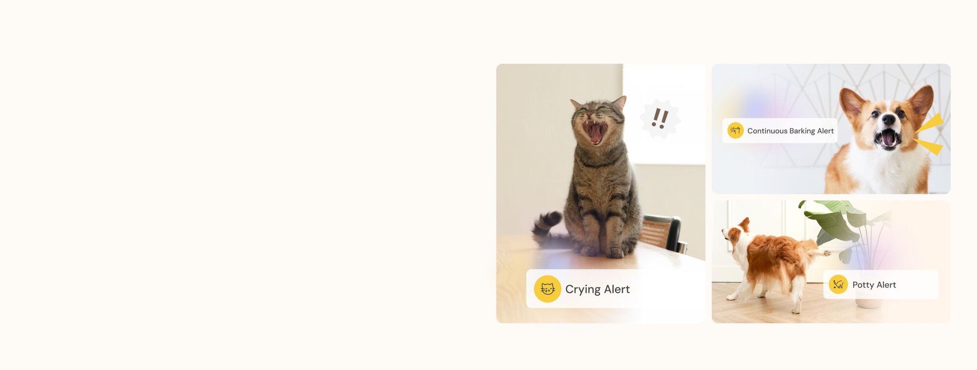 Pet monitoring alerts showing meowing cat with crying alert barking corgi and dog near plants with potty alert notifications