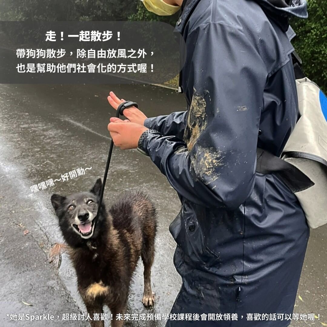 狗狗社會化