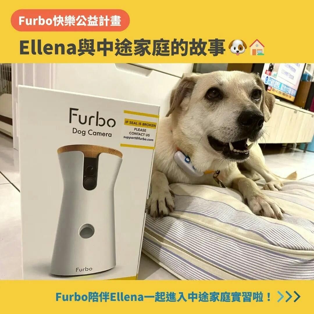 中途之家大公開！｜內向浪浪Ellena在中途的陪伴之下展開尋家旅程