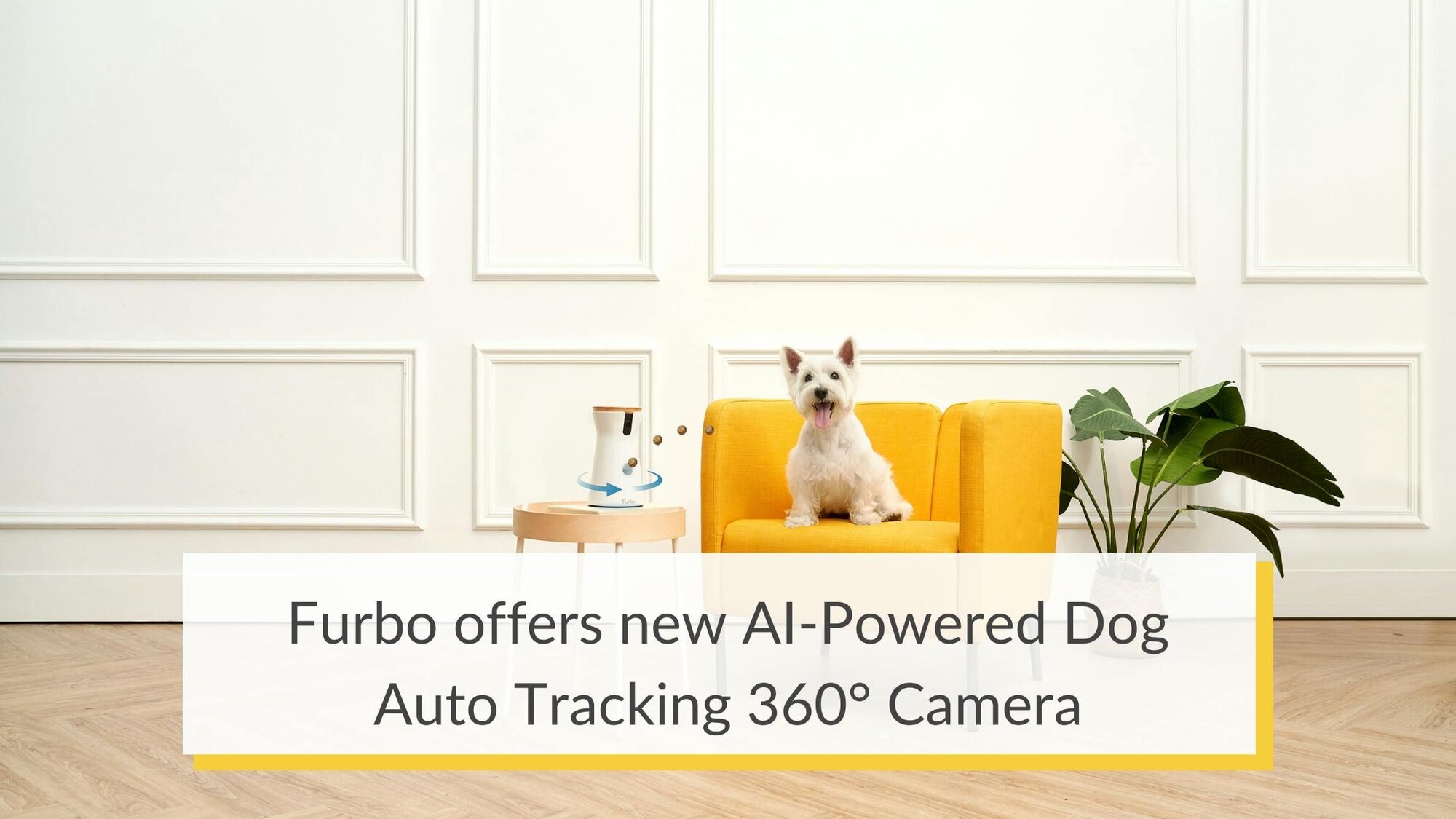Furbo Offers New AI-Powered Auto Dog Tracking 360° Camera