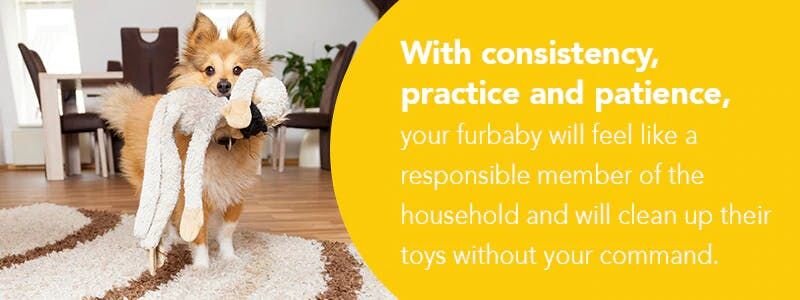 Teach a cleaning trick