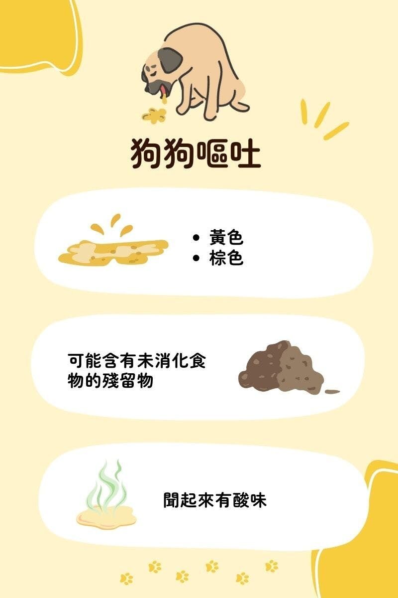 如果你家中同時擁有狗狗和貓咪，你需要知道狗狗和貓咪嘔吐的差異。下表可以幫助您確定是哪隻毛小孩嘔吐了，以便您可以決定下一步要做什麼。這些只是普遍的情形，在某些狀況下，仍有可能無法判斷嘔吐的是您的貓還是狗。