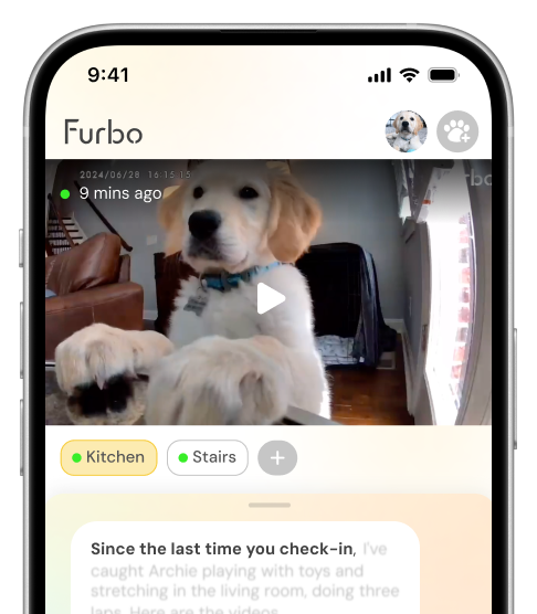 Furbo app interface