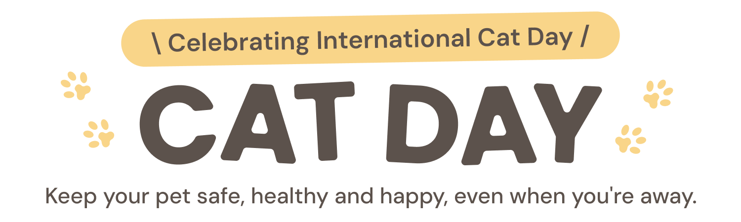 Celebrating International Cat Day. Keep your pet safe, healthy and happy, even when you're away.