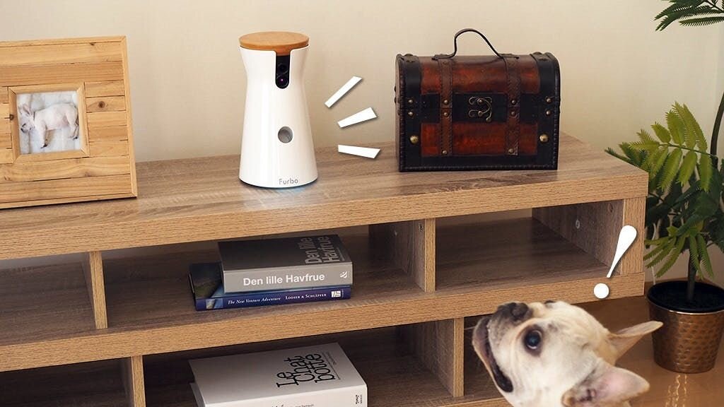 「そっか！
　青のライトが点いているときは、
　ママが見てくれているときなんだね。
　ライトが、
　ぼくたちが判別できる黄色から青色に変わって、
　パパやママが見てくれていることを、
　気づかせてくれるんだ。
　ひとりなのに、みんなといるみたい。」