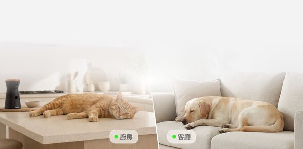 A split-screen view showing an orange cat napping on a kitchen counter next to a Furbo 360° Cat Camera, and a yellow labrador sleeping on a light-colored sofa in the living room.