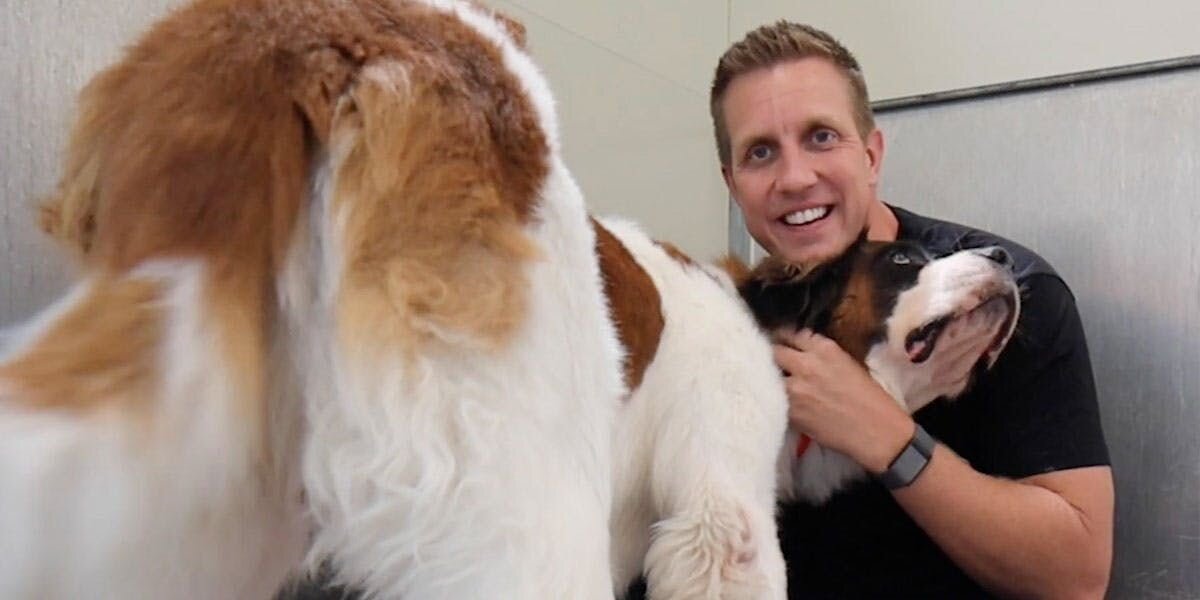 Furbo for Good Partners with Rocky Kanaka