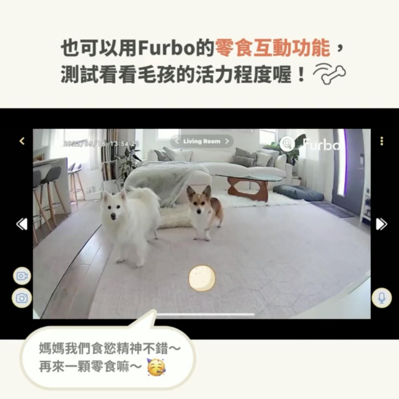Furbo零食互動