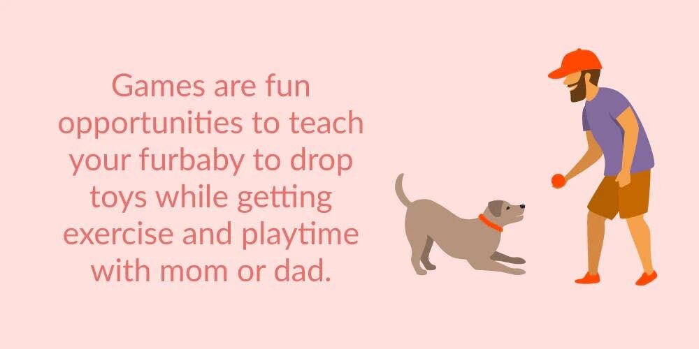 You can start teaching basic obedience commands at this age, and you can teach them to walk on a leash. Don't yell or punish your pup because they ...