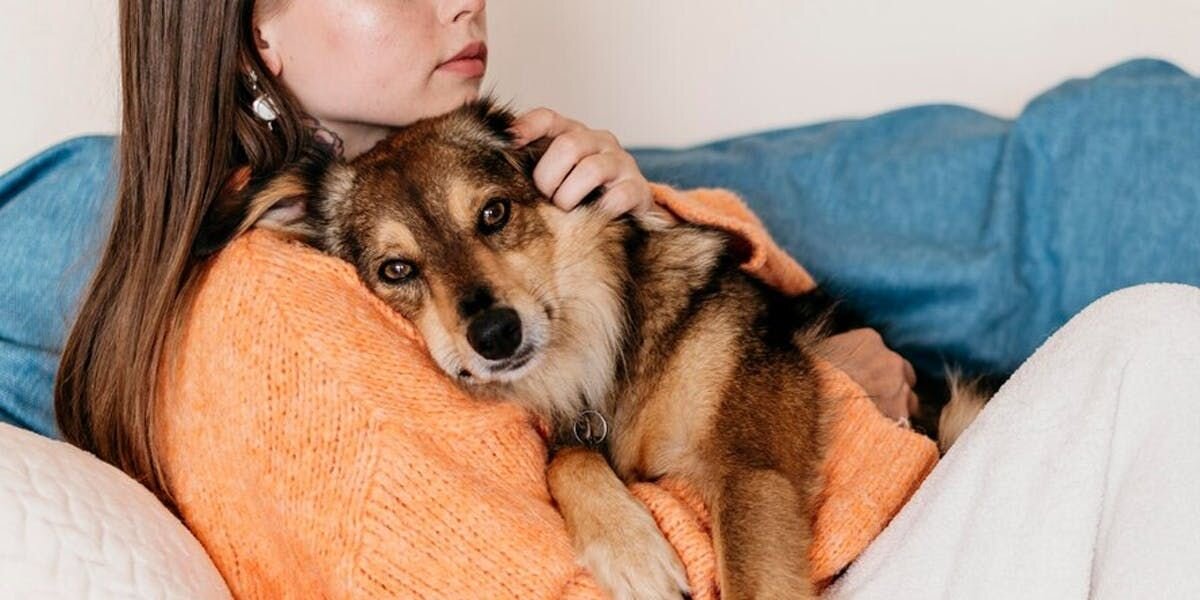 Dog cuddling with owner