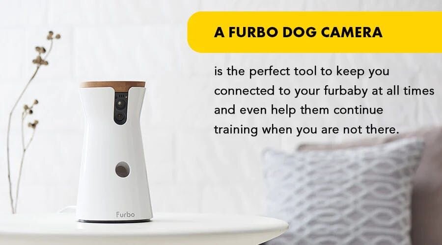 A Furbo dog camera is the perfect tool to keep you connected to your furbaby at all times