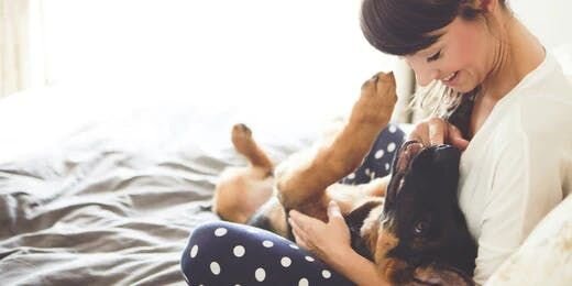 Puppy Talk 101 - How to Communicate with Your Pup