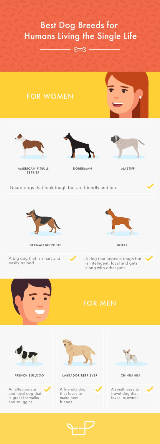 Best dogs breeds for human