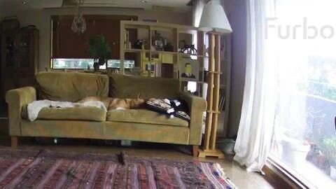 そして、なによりも大事なのは飼い主が健康で長生きすること。彼らのことを最後まで責任をもって面倒を見ることなのですよね。