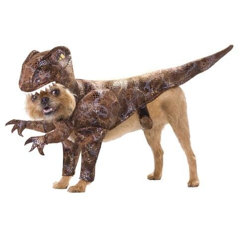 dog dressing like a dinosaur