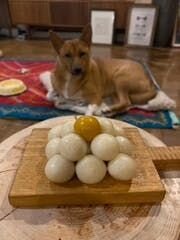 ▲中秋の名月に娘がお団子をつくりました。福には見せるだけ（笑）