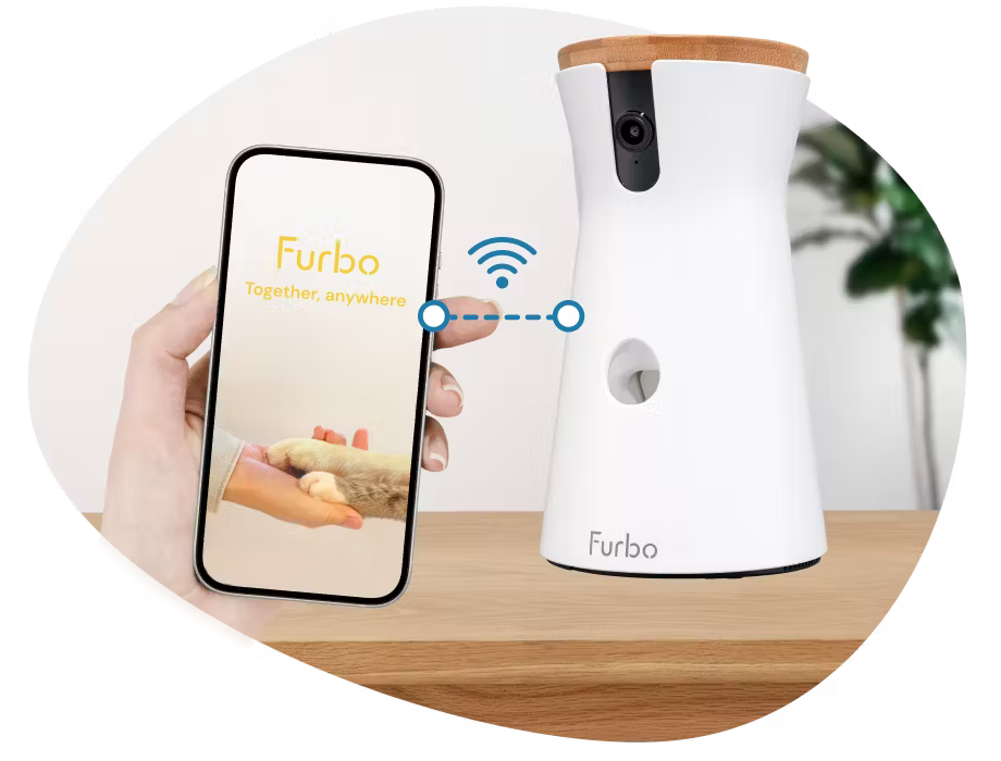 connect App to camera