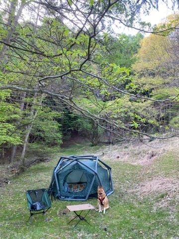 いろんなキャンプのスタイルがありますが、今の僕はとにかくシンプルにというのが気分。面倒な設営は最小限ですませて、出来る限り多くの時間を福とふたりでただひたすらにのんびりと過ごしたいのです。この春は大きな仕事にかかりっぱなしでほとんど遊びにも行けませんでした。でも、今日からしばらくは、読みたかっ...