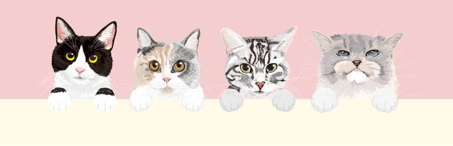抽選特典：大人気・猫専門イラストレーターCoony（クーニー）さんによる、愛猫の似顔絵イラスト制作（イラストデータ贈呈）。当選後に、イラストの元となるお写真などの詳細をCoonyさんに直接ご連絡いただきます。以下、イラストの参考イメージ。
