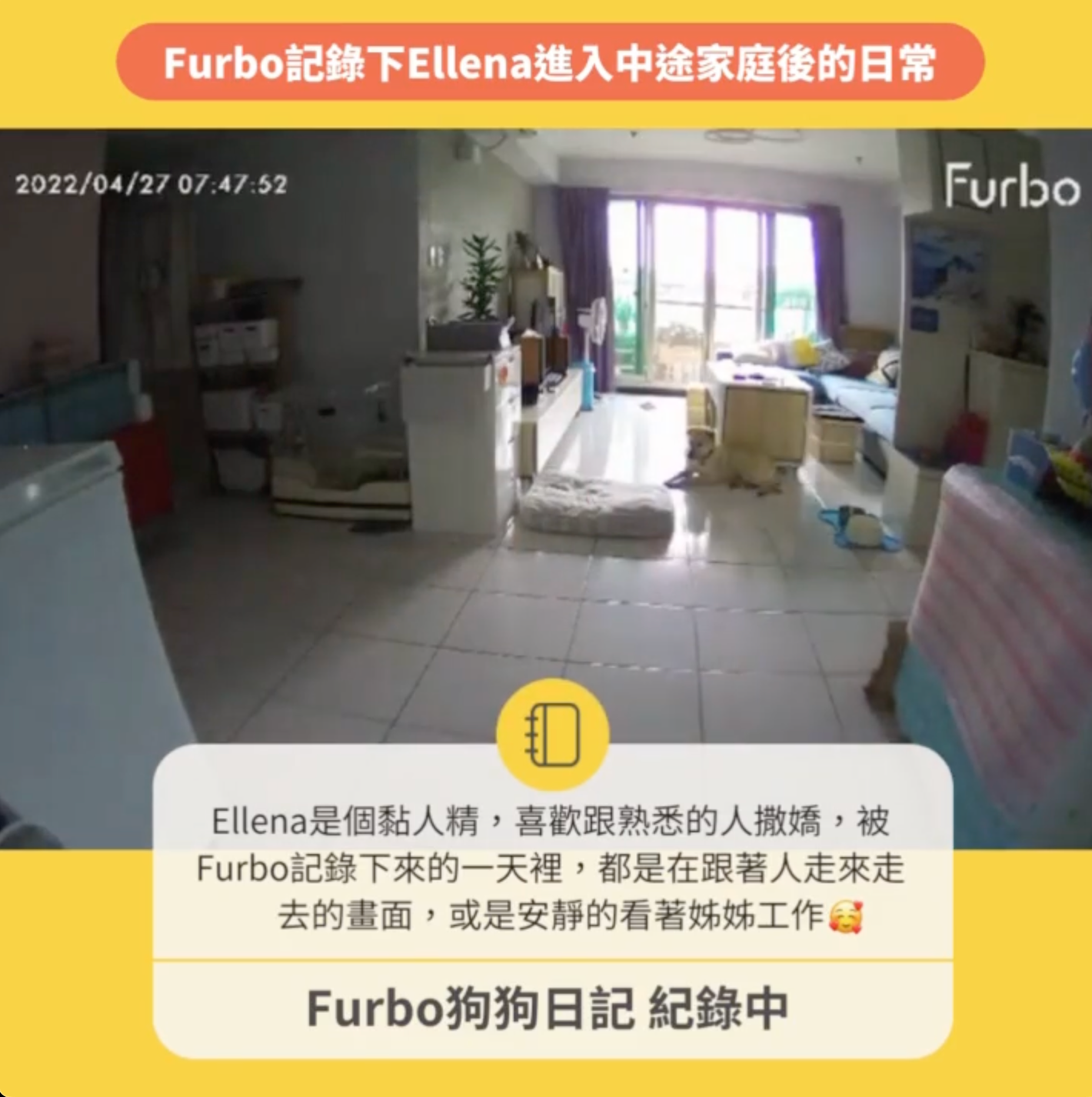 狗狗日常生活