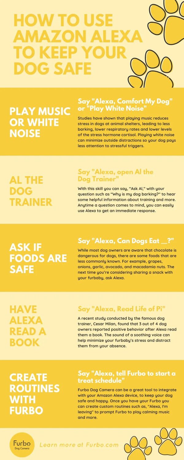 How to use Alexa Infographic