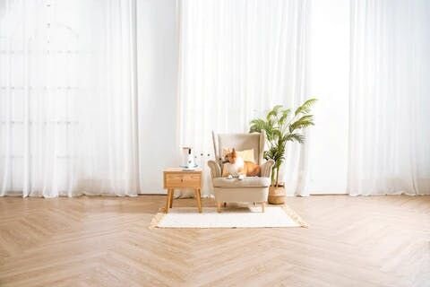 Dog sitting on chair with Furbo