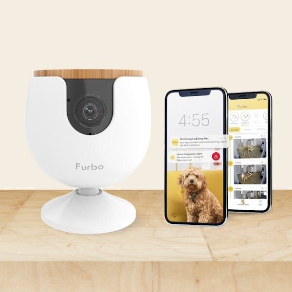 Furbo Mini pet camera with Furbo Nanny subscription plan
