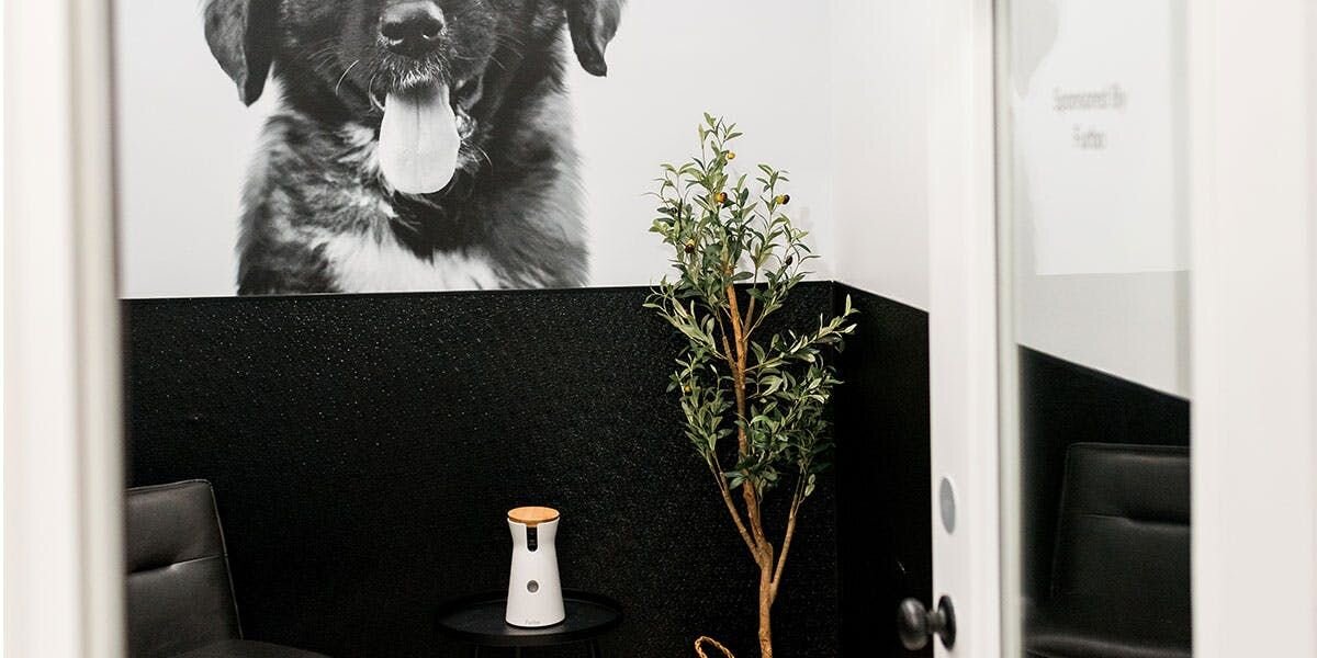 The Puppy Room Is Open!