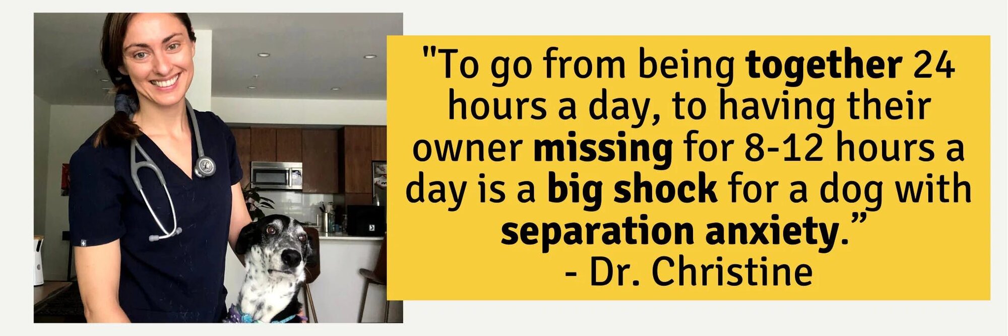 Dr. Christine on separation anxiety