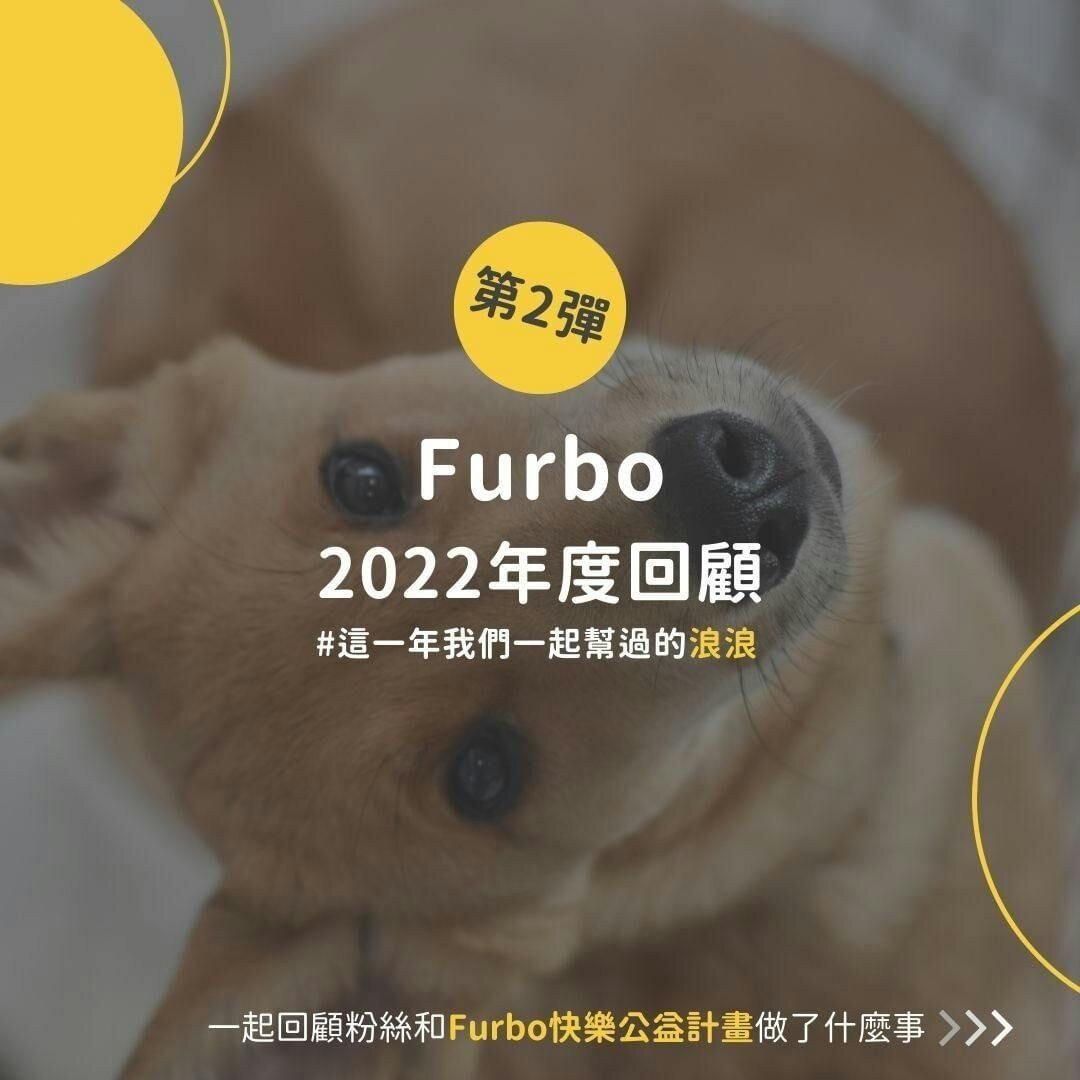 浪浪回家特輯｜Furbo快樂公益計畫2022年度回顧
