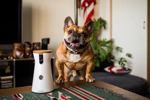 大好きなことがあると頑張れる。トーラスくんと遠藤さんご夫妻にとっての大好きなマッサージの時間が、家族の絆を強くするとっても大事な時間でした。