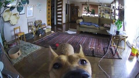 ちょっと宣伝チックになってしまうのであれですが、加えて書くならカメラのレンズも進化してて、ものすごい広角になってるのです。つまり部屋にひとつ置いておけば、かなり死角なく広範囲をカバーできるんです。その角度は160° しかもフルHD でデジタル４倍ズーム、