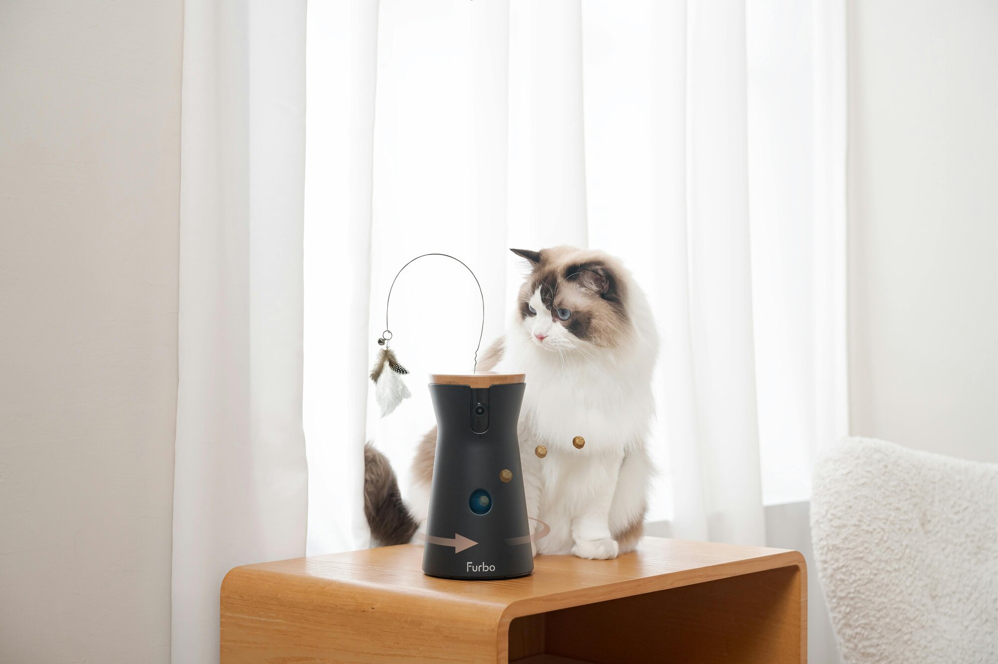 As your little genius keeps getting smarter, so does Furbo with its full suite of AI-powered Smart Alerts. Cat Activity Alert and Home Emergency Al...