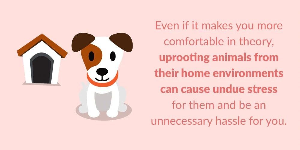 2. Food and Comfort: