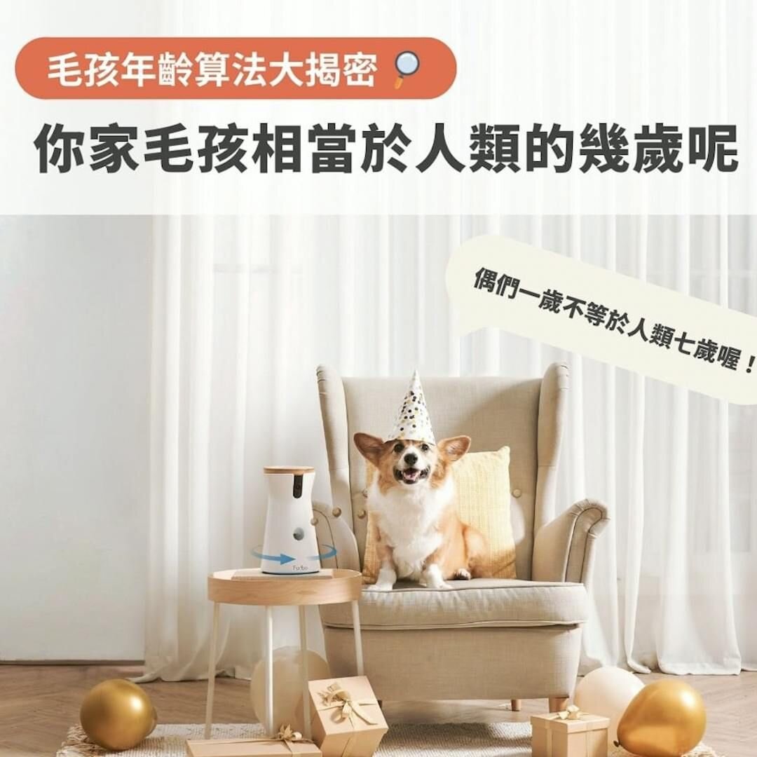 打破你所認知的寵物歲數迷思！｜毛孩年齡算法大公開！