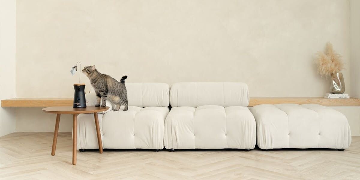 Gray tabby cat sniffing Furbo 360 Cat Camera.