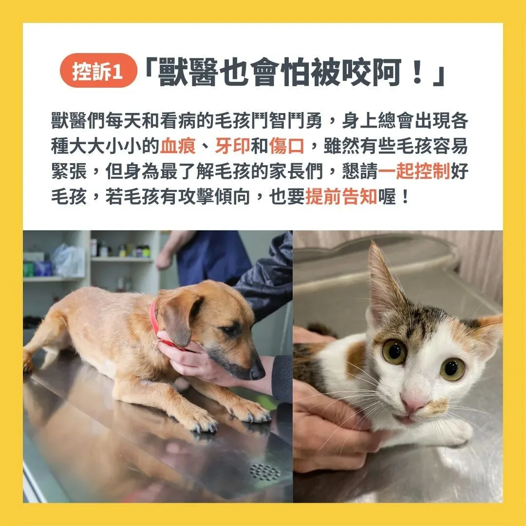 獸醫怕被咬