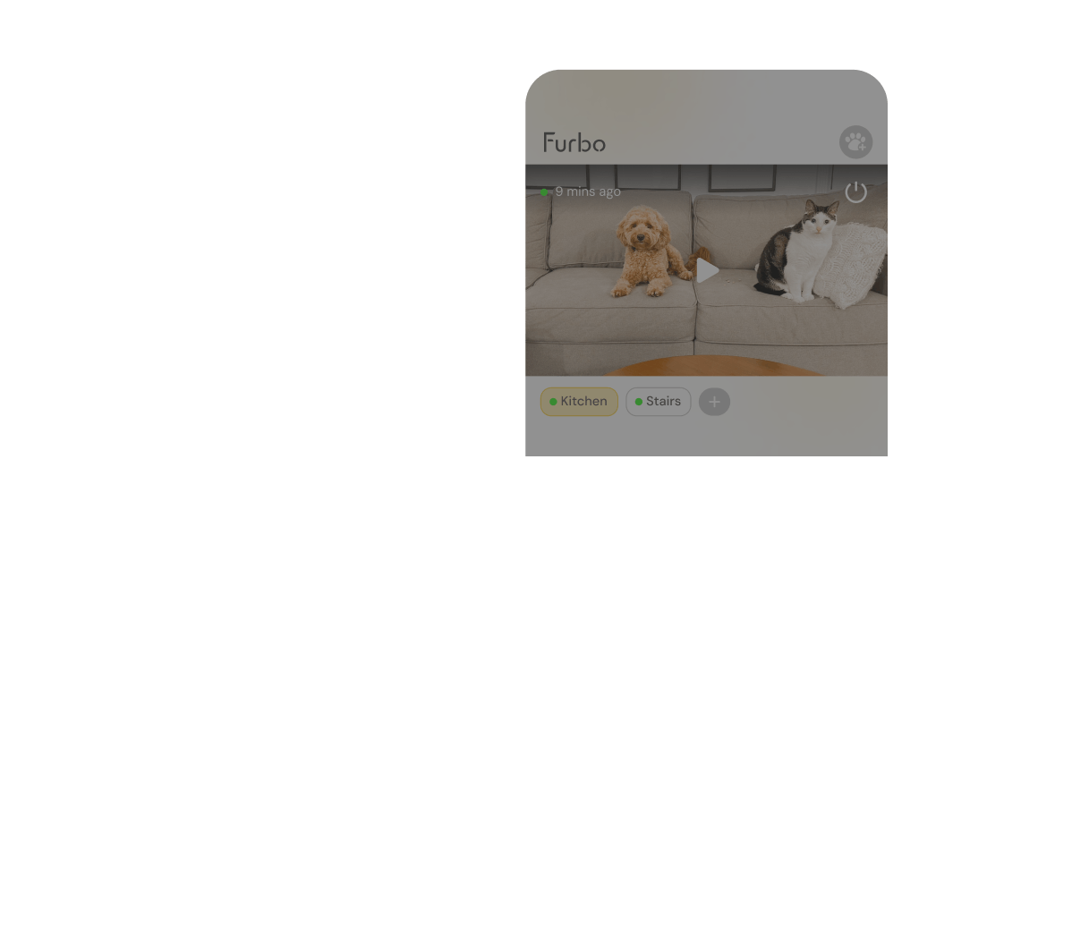 Live view 