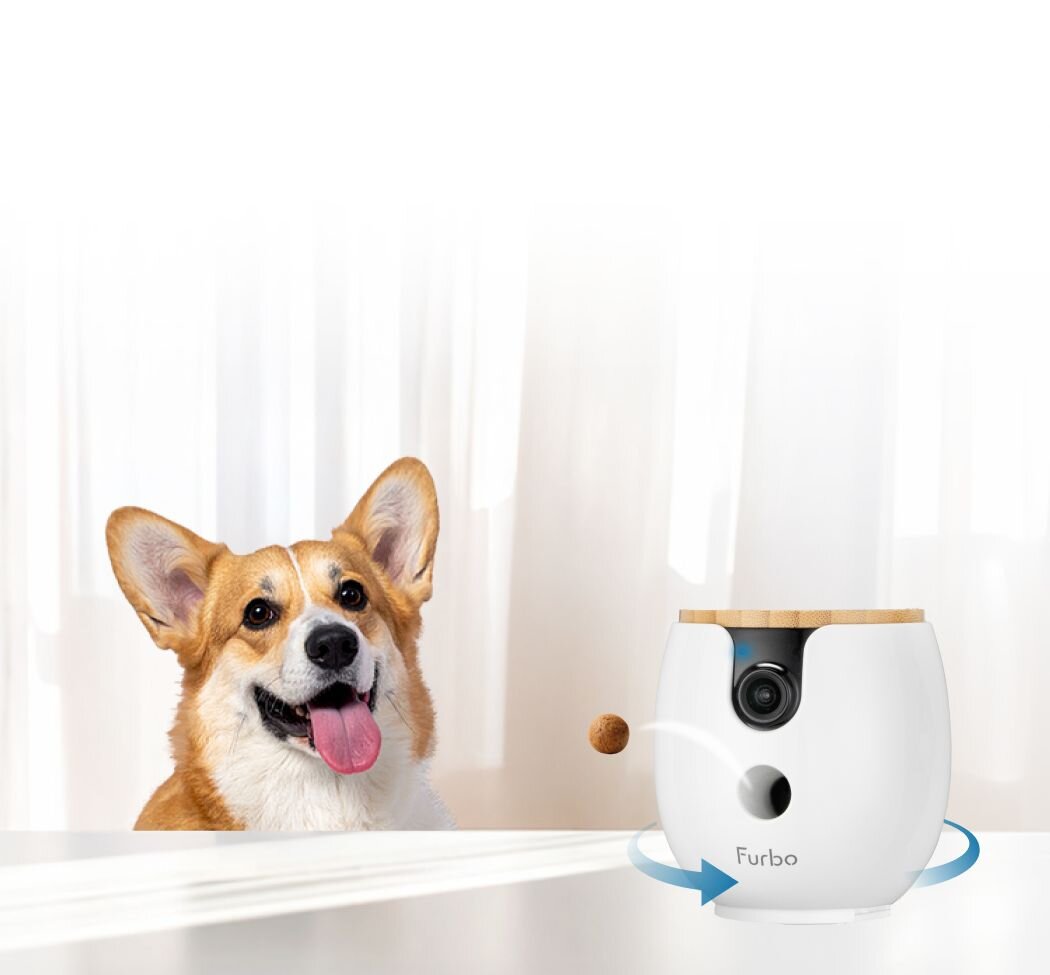 A white Furbo Mini 360° dog camera sits on a white surface, tossing a treat into the air toward a happy Corgi dog on the left.