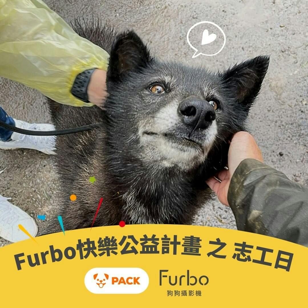 巴克幫 PACK Taiwan 志工回顧｜Furbo快樂公益計畫為浪浪打造幸福的生活