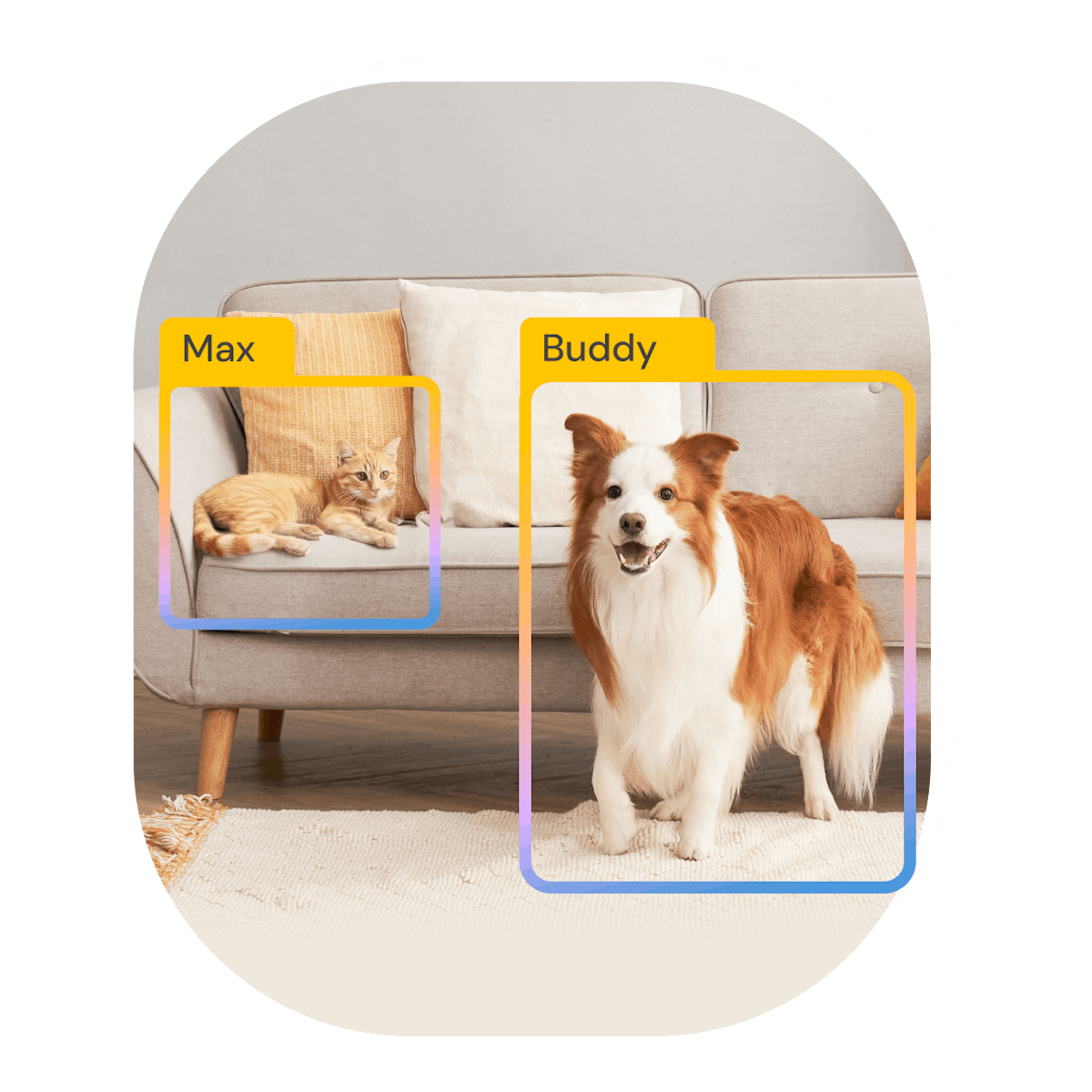 Furbo Nanny Pet ID identifie Buddy, le chien qui saute du canapé, et Max, le chat assis de l'autre côté.