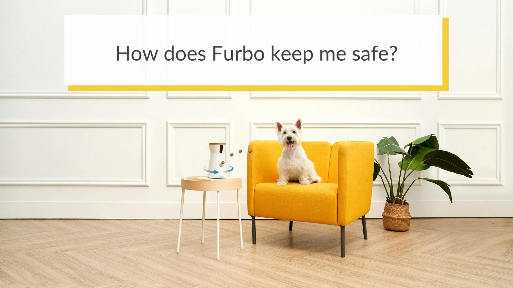 How does Furbo keep me safe?