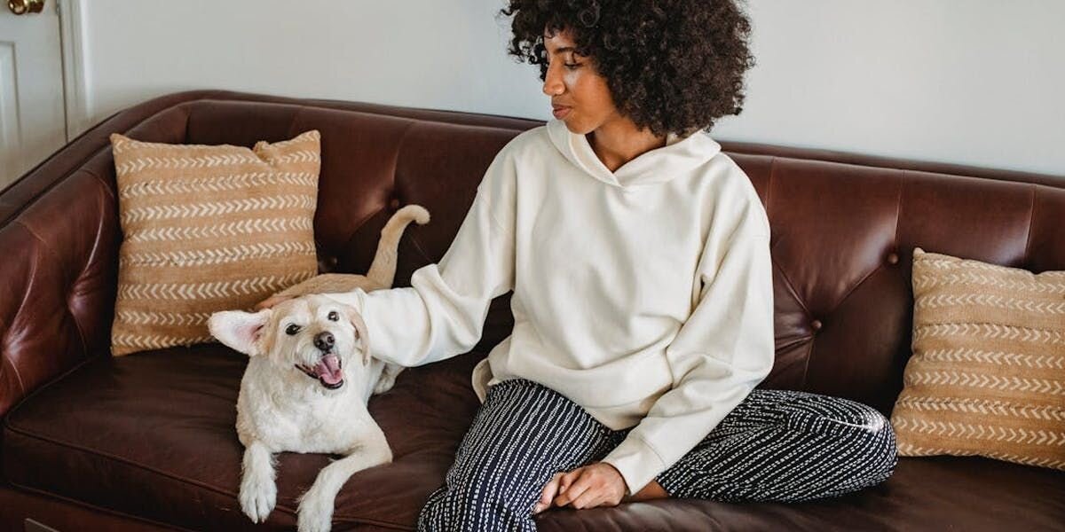 woman sitting on a couch and petting a dog