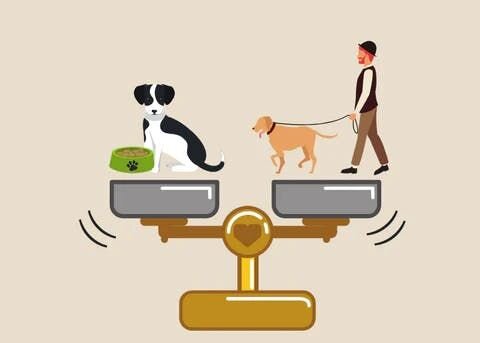 愛犬の肥満の原因とは？