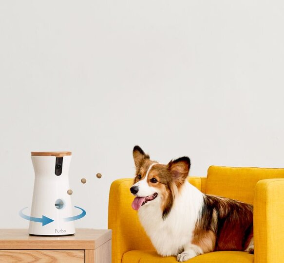 Furbo 360 dog camera with a dog on the couch