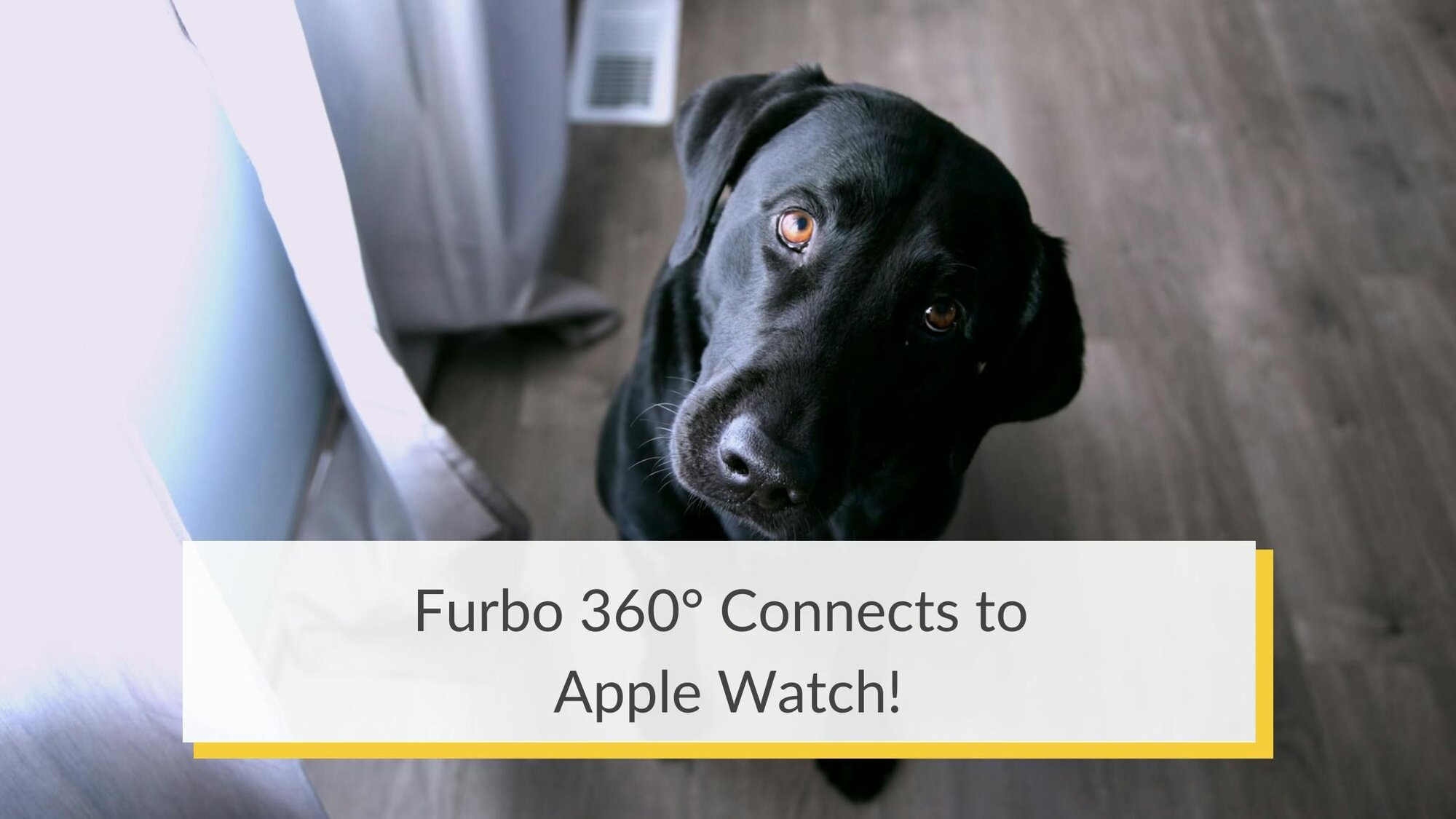 Furbo 360° Connects to Apple Watch!