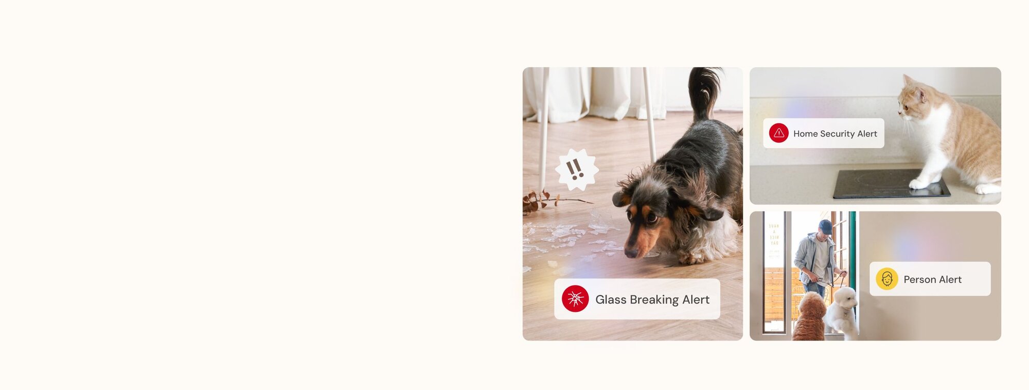 Pet monitoring alerts: dog with glass breaking alert, cat near security alert, and person alert showing delivery person
