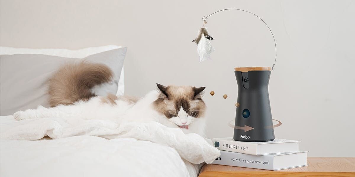 Brown and white cat grooming itself next to a Furbo 360 Cat Camera