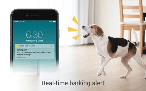 Real-time barking alert